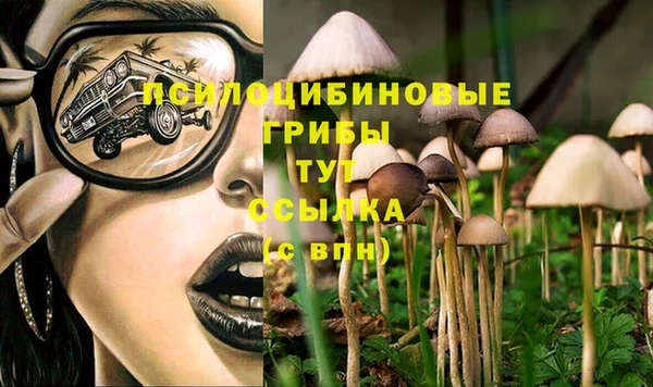экстази Нязепетровск