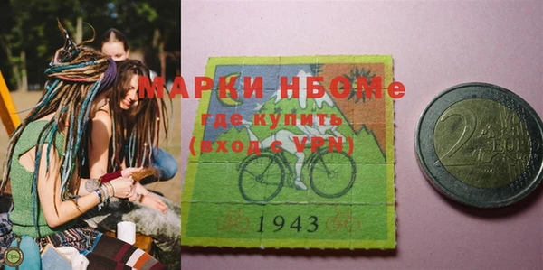 индика Нягань