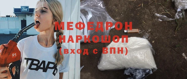индика Нягань