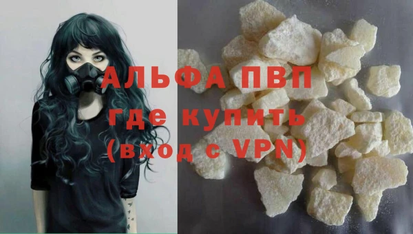 стаф Алексин